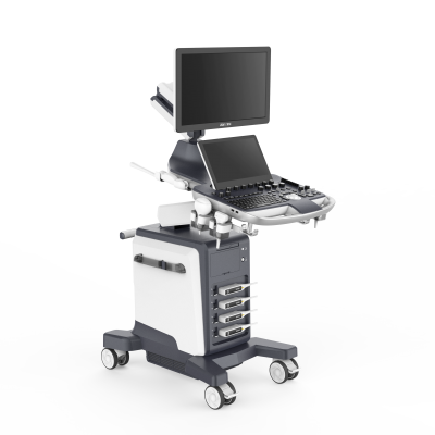 Zoncare ViV 60 Цифровой стационарный УЗИ-сканер с цветным, энергетическим, импульсным и постоянным допплером